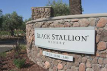 Black Stallion Winery